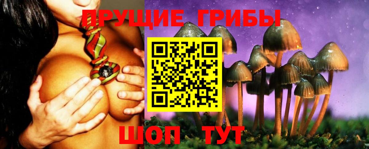 Псилоцибиновые грибы Psilocybe  Псилоцибиновые грибы прущие грибы  Вход с VPN  Люберцы 